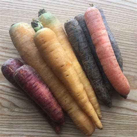 Carrots Rainbow Blue Mtn 5 Lb Bag