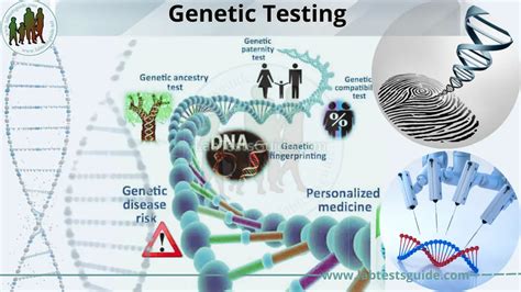 Genetic Testing Types Purpose Procedure Results And Future Lab