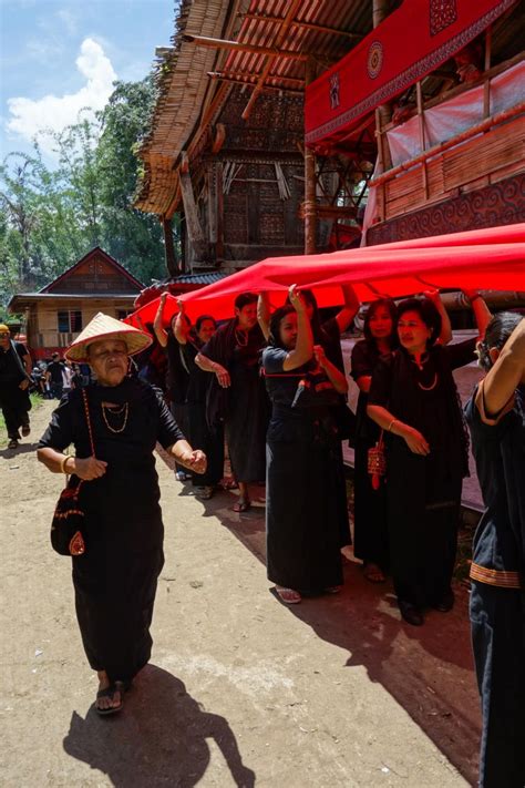 Tana Toraja Funeral Ceremony Coffin Parade Through The Village