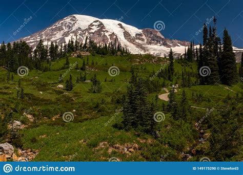 A Snow Capped Mountain Mount Rainier At Spring Time With A Lush Green