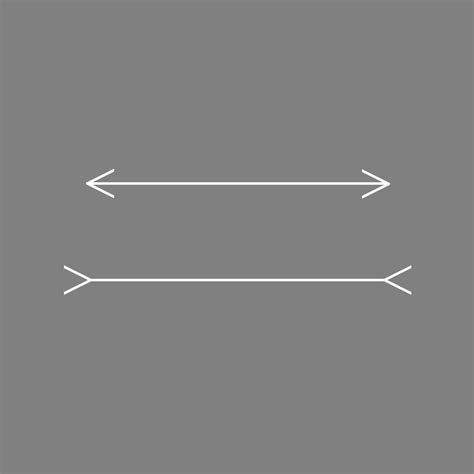 Sun jun 02 2002 at 10:36:23. Hannes Saal / Müller-Lyer Illusion · GitLab