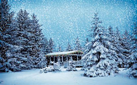 Christmas Snowstorm By Frankief On Deviantart