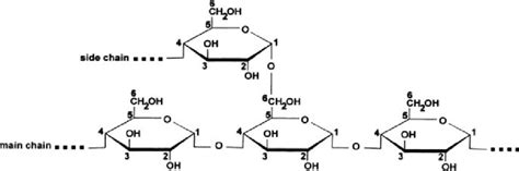 4 Structure Of Amylopectin Download Scientific Diagram