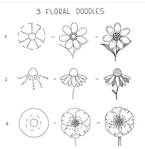 Pin By Ruth Ohara On Botanical Doodles Flower Drawing Flower