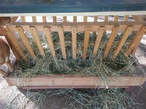 My Simple Country Living Jerrys Diy Goat Feeder Plans