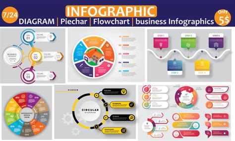 Design Any Type Of Premium Infographic Pie Chart Bar Graph Diagram