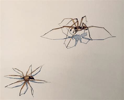 Spiders Watercolor 8 X 12 Rart
