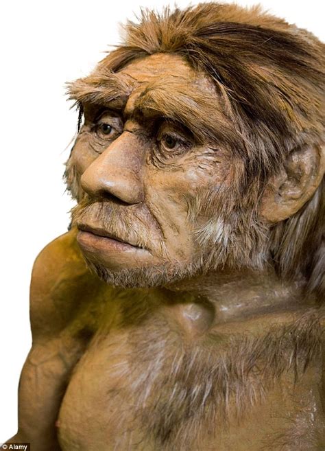 Why Homo Sapiens Won The Battle Of Human Survival Neanderthals Had
