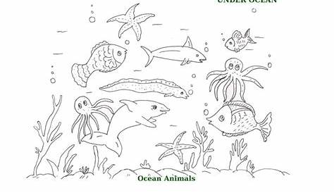 5 Best Images of Ocean Animals Printable - Printable Coloring Page Sea