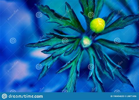 Abstract Blurred Natural Background Classic Blue Green Nature