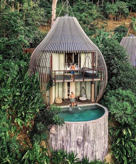 Fantastic “treehouse” Hotel Near Phuket Thailand Spaceoptimized