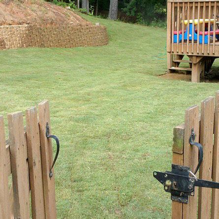 Tifway is the highest sold variety of grass we carry. Bermuda Tifway 419 (504 Sq. Ft.) - Atlanta Sod Company