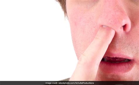 Does Picking Your Nose Increase Your Risk Of Covid Study Says