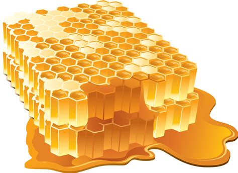 Honeycomb Clipart Single Honeycomb Single Transparent Free For