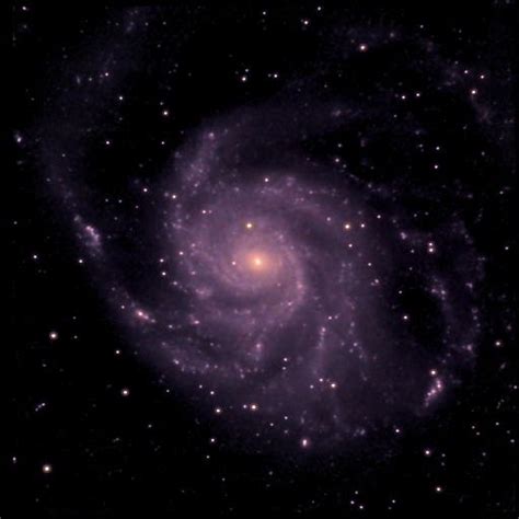 Galaxia espiral barrada 2608 galaxia espiral ngc 1672 es una galaxia espiral barrada ubicada en la constelacion de dorado blog lemari galaxia espiral astronomia ser en realidad una galaxia espiral. Ngc 2608 Galaxia - New General Catalog Objects: NGC 2600 ...