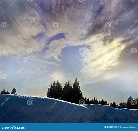 Winter Sunset And Trees Silhouettes Stock Photo Image Of Light Icing