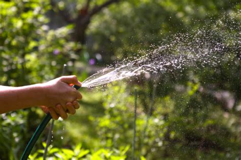 Squirting Water Hose Drop Stock Photos Pictures And Royalty Free Images