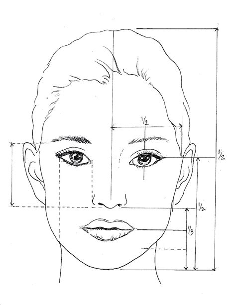 Best How To Draw A Face Proportions In Check It Out Now Howtodrawsun