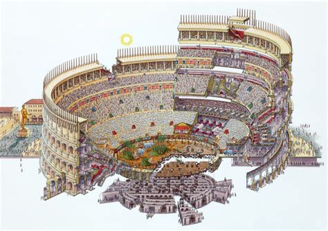 Colosseumsection Drawing Colosseum Flavian Amphitheater Rome