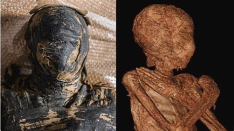 Primeira múmia egípcia de uma gestante é identificada por pesquisadores ...