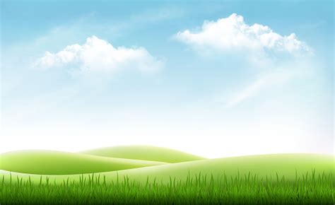 Nature Summer Background With Green Grass And Blue Sky Vector Stock