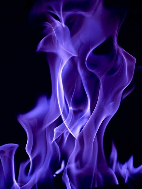 Purple Flame Illustration Flames Flickering Fire Burning Study