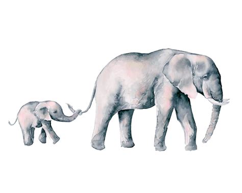 Mom And Baby Elephant Holding Tail Drawing