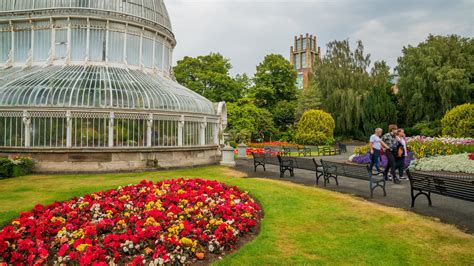Belfast Botanic Gardens Gb Vacation Rentals House Rentals And More Vrbo