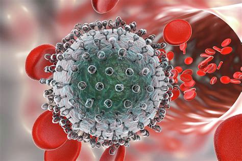 Hepatitis C Virus Photograph By Kateryna Kon Pixels