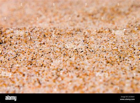Grain Of Sand Macro Stock Photo Alamy