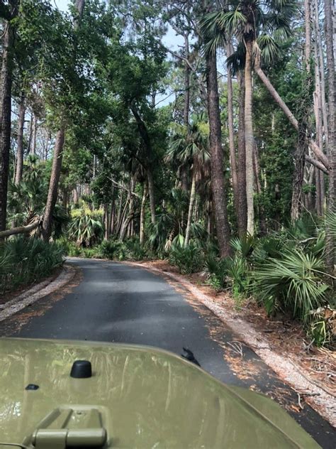 Your Guide To Escaping To South Carolinas Hunting Island State Park