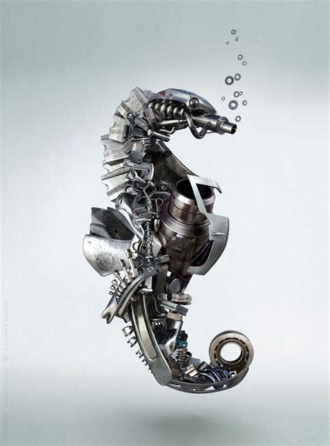 Seahorse Illustration For Printed Advertising Silvia Fusetti