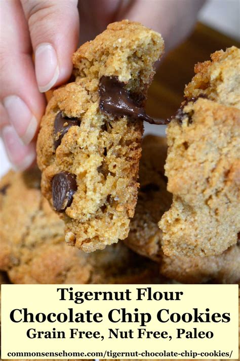 Pin On Tigernut Flour Recipes