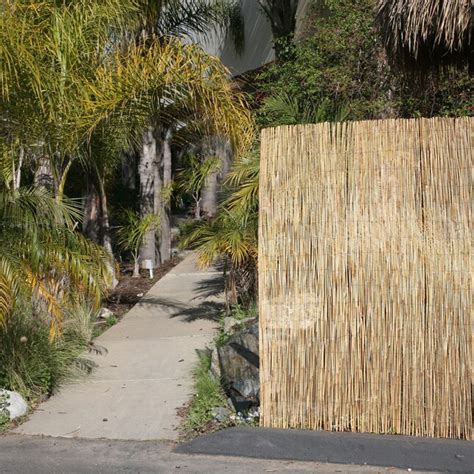 Backyard X Scapes 96 In W X 48 In H Natural Reed Outdoor Privacy Screen