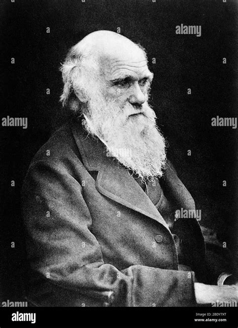 Darwinian Evolutionary Theory Black And White Stock Photos And Images Alamy