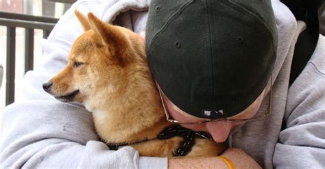 Here's how the veterinarian might know it's the right decision. Should You Hug Your Dog?