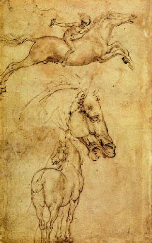 Leonardo Da Vinci Study Of Horse Horse Art Print Da Vinci Sketches