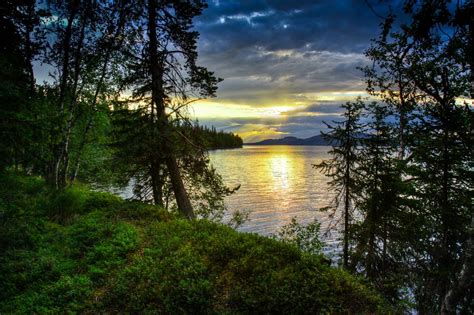 Midnight Sun Summernight At Lauker In The Northern Parts Of Sweden