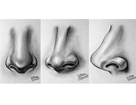 Nose Pencil Sketch Nose Drawing Sketch Nose Pencil Drawings
