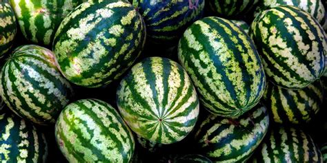 Juice Press 15 Things You Didnt Know About Watermelon