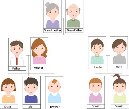 We've been helping people trace their ancestors for over 35 years! Family Tree Stock Illustration - Download Image Now - iStock