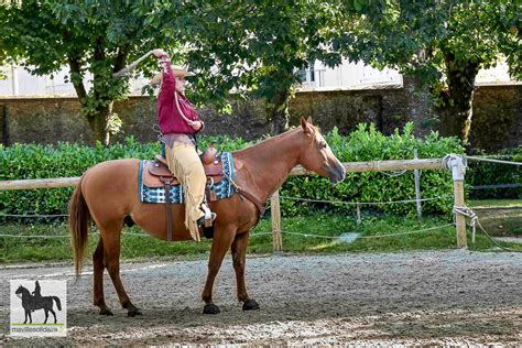 La Roche Sur Yon Au Haras De La Vendée Les Cavalcades Ont Ravi Petits