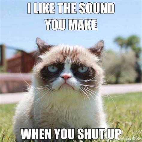 Really Grumpy Cat Quotes Grumpy Cat Meme Grumpy Cat Humor