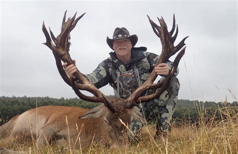 New Zealand Red Stag Hunting And Outfitters Poronui Hunting Lodge
