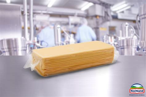 Processed Cheese SOS Hochland Professional