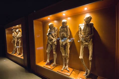 Genera Museo de las Momias derrama económica por más de 9 millones de