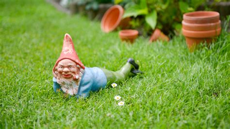 51 Clever Garden Gnome Names