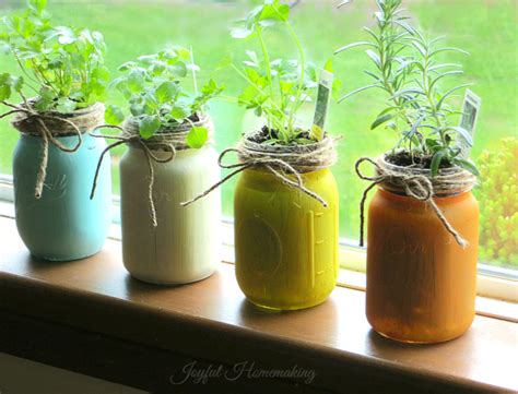 Kitchen Herb Garden In Mason Jars Joyful Homemaking