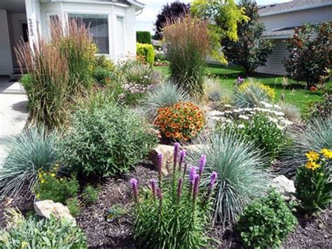 Best Xeriscape Landscaping Colorado Inspirations 2102 Xeriscape Front