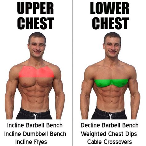 Chest Exercises Upper Chest And Lower Chest